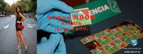 ПСИЛОЦИБИНОВЫЕ ГРИБЫ Корсаков