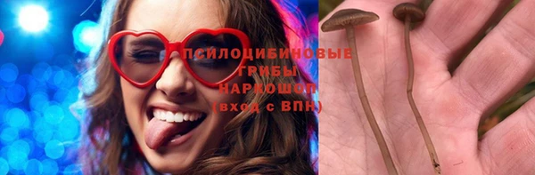 ПСИЛОЦИБИНОВЫЕ ГРИБЫ Корсаков