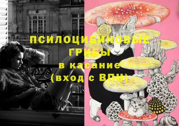 ПСИЛОЦИБИНОВЫЕ ГРИБЫ Корсаков