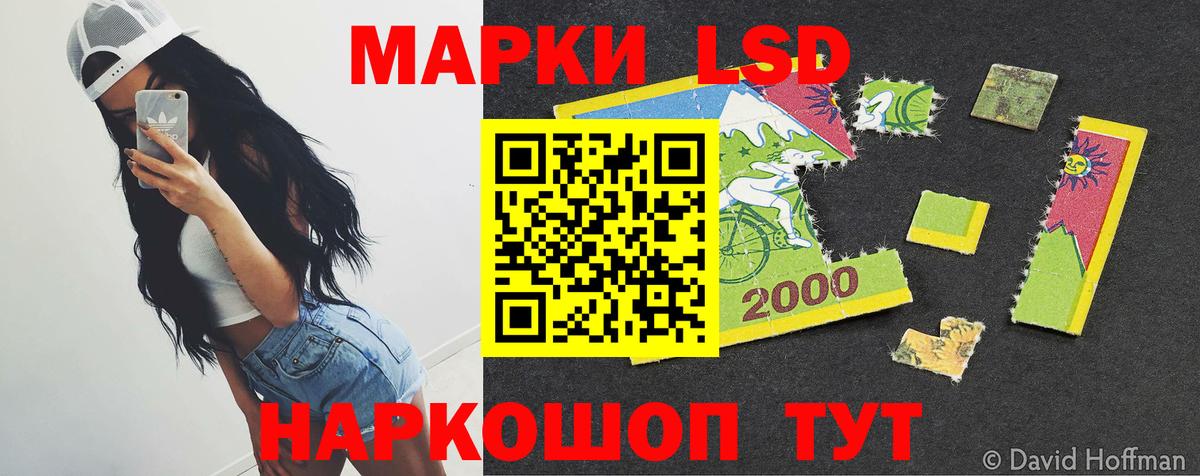 APVP Котовск