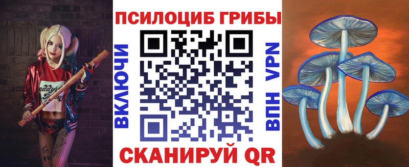 Псилоцибиновые грибы Psilocybe  Котовск 