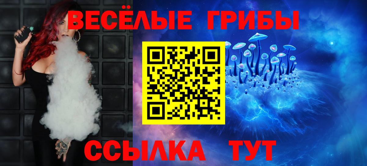 Галлюциногенные грибы Psilocybe Котовск